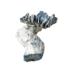 Jack Frost Mushrooms POWDERED