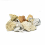 Jedi Mind Fuck Mushrooms POWDERED